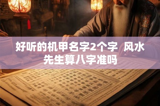 好听的机甲名字2个字  风水先生算八字准吗