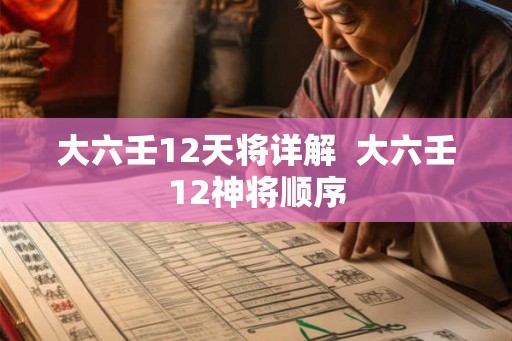 大六壬12天将详解  大六壬12神将顺序