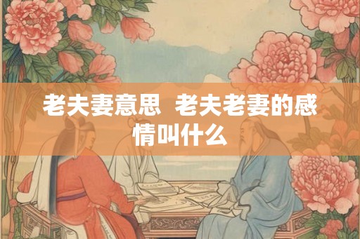 老夫妻意思  老夫老妻的感情叫什么