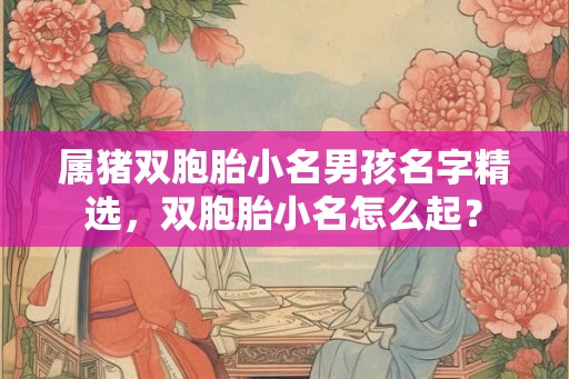 属猪双胞胎小名男孩名字精选,双胞胎小名怎么起? 属猪双胞胎小名男孩名字精选,双胞胎小名怎么起?
