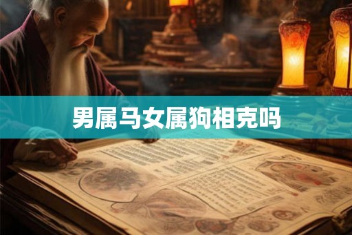 男属马女属狗相克吗