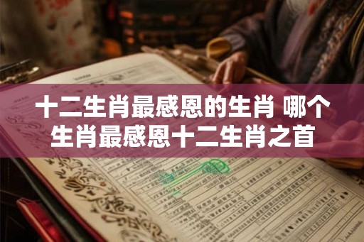 十二生肖最感恩的生肖 哪个生肖最感恩十二生肖之首