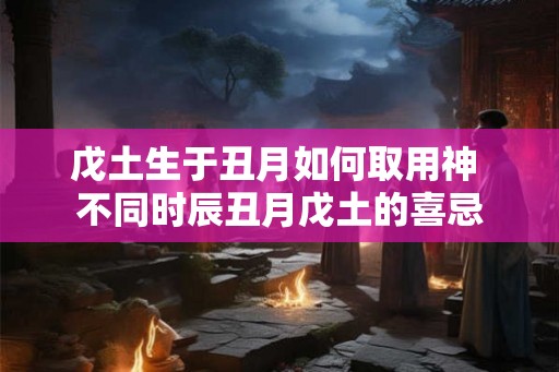 戊土生于丑月如何取用神 不同时辰丑月戊土的喜忌