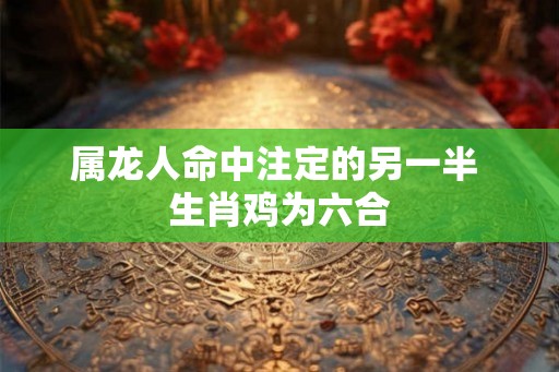 属龙人命中注定的另一半 生肖鸡为六合