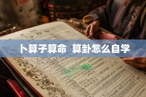 卜算子算命  算卦怎么自学