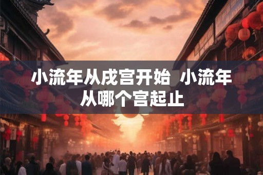 小流年从戌宫开始  小流年从哪个宫起止