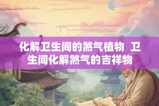 化解卫生间的煞气植物  卫生间化解煞气的吉祥物