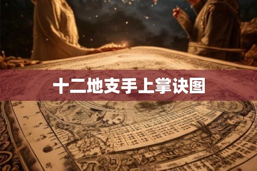 十二地支手上掌诀图