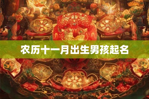 农历十一月出生男孩起名