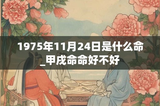1975年11月24日是什么命_甲戌命命好不好
