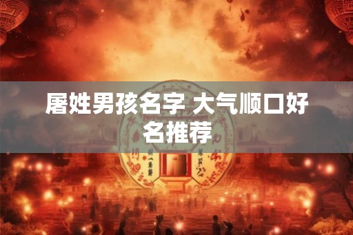 屠姓男孩名字 大气顺口好名推荐