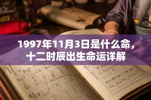 1997年11月3日是什么命，十二时辰出生命运详解