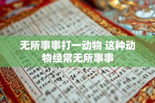 无所事事打一动物 这种动物经常无所事事 无所事事打一动物 这种动物经常无所事事