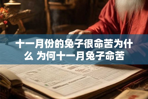 十一月份的兔子很命苦为什么 为何十一月兔子命苦