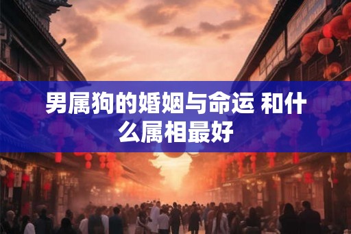 男属狗的婚姻与命运 和什么属相最好