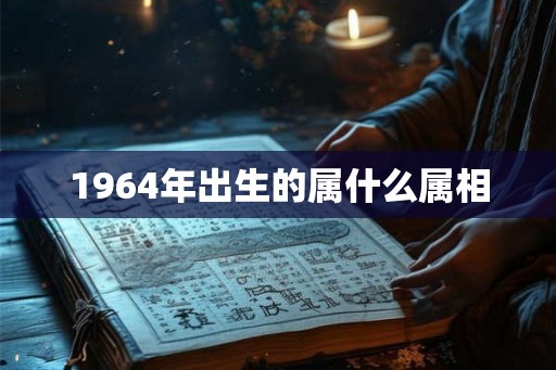 1964年出生的属什么属相