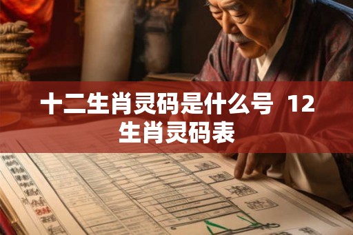 十二生肖灵码是什么号  12生肖灵码表