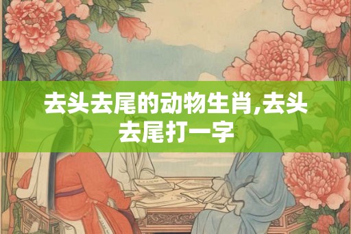 去头去尾的动物生肖,去头去尾打一字