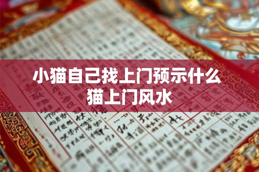 小猫自己找上门预示什么 猫上门风水