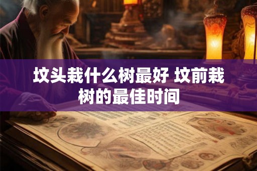 坟头栽什么树最好 坟前栽树的最佳时间