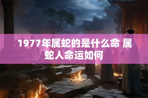 1977年属蛇的是什么命 属蛇人命运如何