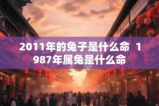 2011年的兔子是什么命  1987年属兔是什么命