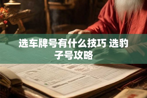 选车牌号有什么技巧 选豹子号攻略
