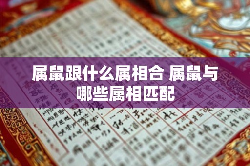 属鼠跟什么属相合 属鼠与哪些属相匹配
