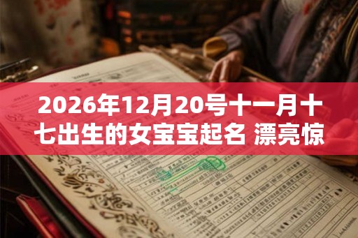 2026年12月20号十一月十七出生的女宝宝起名 漂亮惊艳