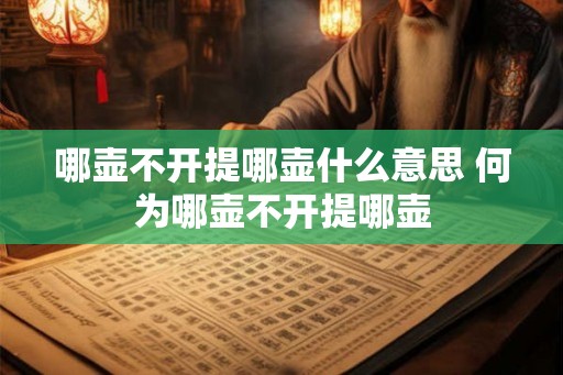 哪壶不开提哪壶什么意思 何为哪壶不开提哪壶