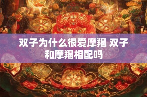 双子为什么很爱摩羯 双子和摩羯相配吗