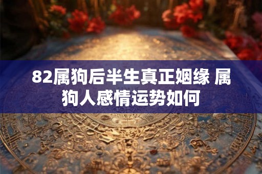 82属狗后半生真正姻缘 属狗人感情运势如何