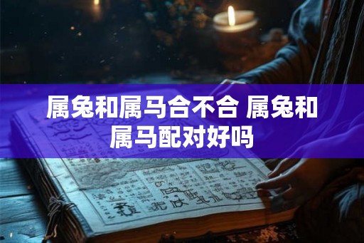 属兔和属马合不合 属兔和属马配对好吗