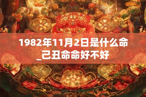1982年11月2日是什么命_己丑命命好不好
