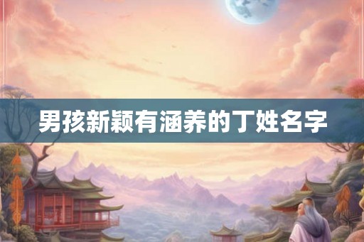 男孩新颖有涵养的丁姓名字