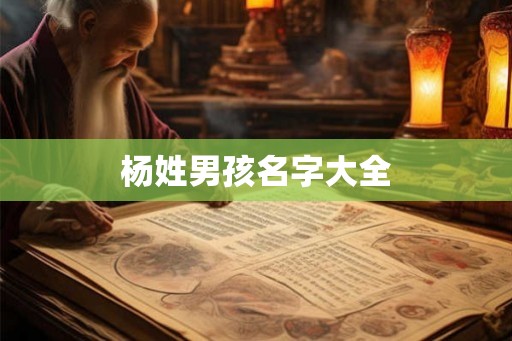 杨姓男孩名字大全 杨姓男孩名字大全