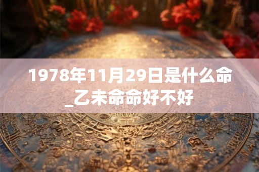 1978年11月29日是什么命_乙未命命好不好