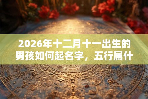 2026年十二月十一出生的男孩如何起名字，五行属什么