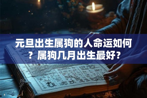 元旦出生属狗的人命运如何？属狗几月出生最好？