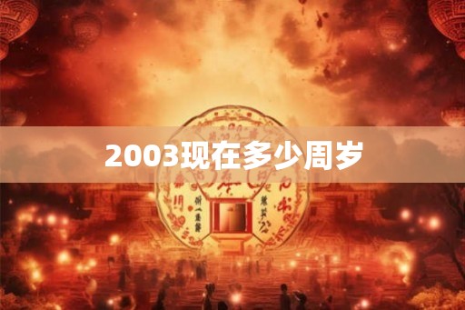 2003现在多少周岁