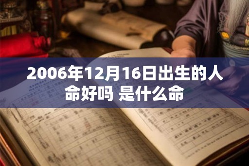 2006年12月16日出生的人命好吗 是什么命