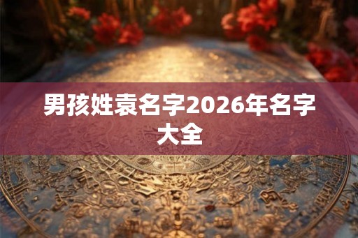 男孩姓袁名字2026年名字大全