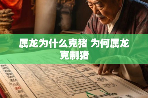 属龙为什么克猪 为何属龙克制猪