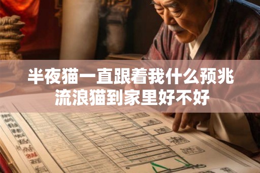 半夜猫一直跟着我什么预兆 流浪猫到家里好不好