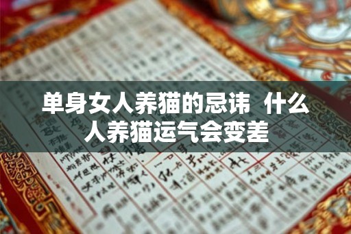 单身女人养猫的忌讳  什么人养猫运气会变差