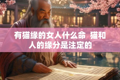 有猫缘的女人什么命  猫和人的缘分是注定的