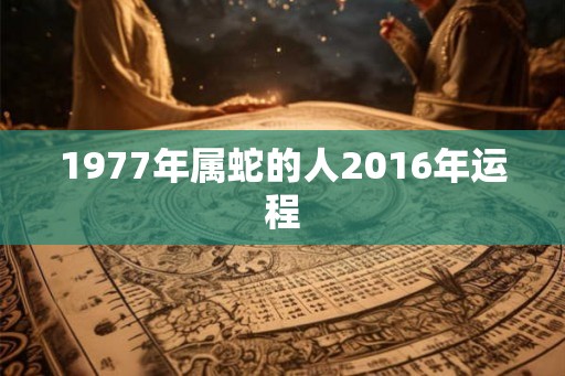 1977年属蛇的人2016年运程 1977年属蛇的人2016年运程