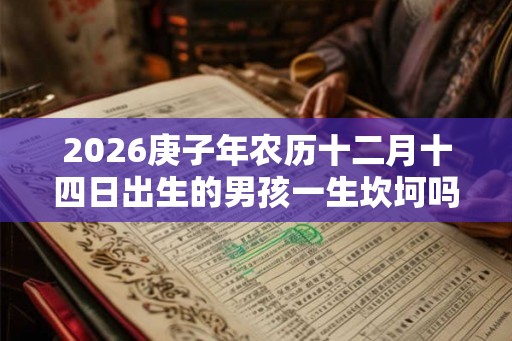 2026庚子年农历十二月十四日出生的男孩一生坎坷吗？