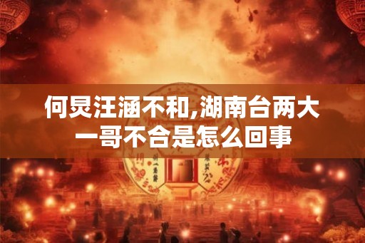 何炅汪涵不和,湖南台两大一哥不合是怎么回事 何炅汪涵不和,湖南台两大一哥不合是怎么回事