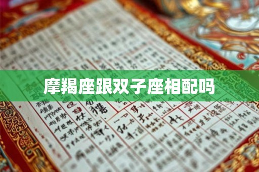 摩羯座跟双子座相配吗
